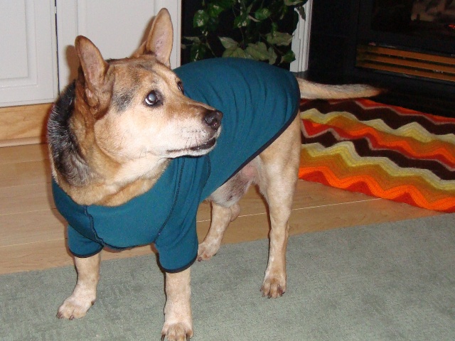 It￿s as though Snoopy smiles when I put on his BodyShirt. Such a comforting fabric and less fur around the house! ￿Marlene J