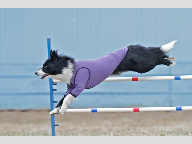 Jude flies high and fast in The BodyShirt.