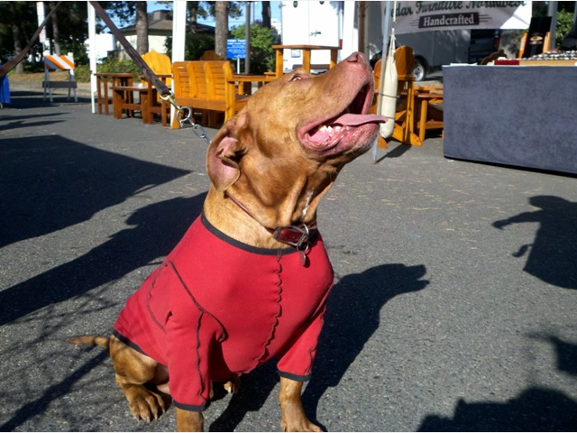 Jake’s looking cool at the Saturday market.